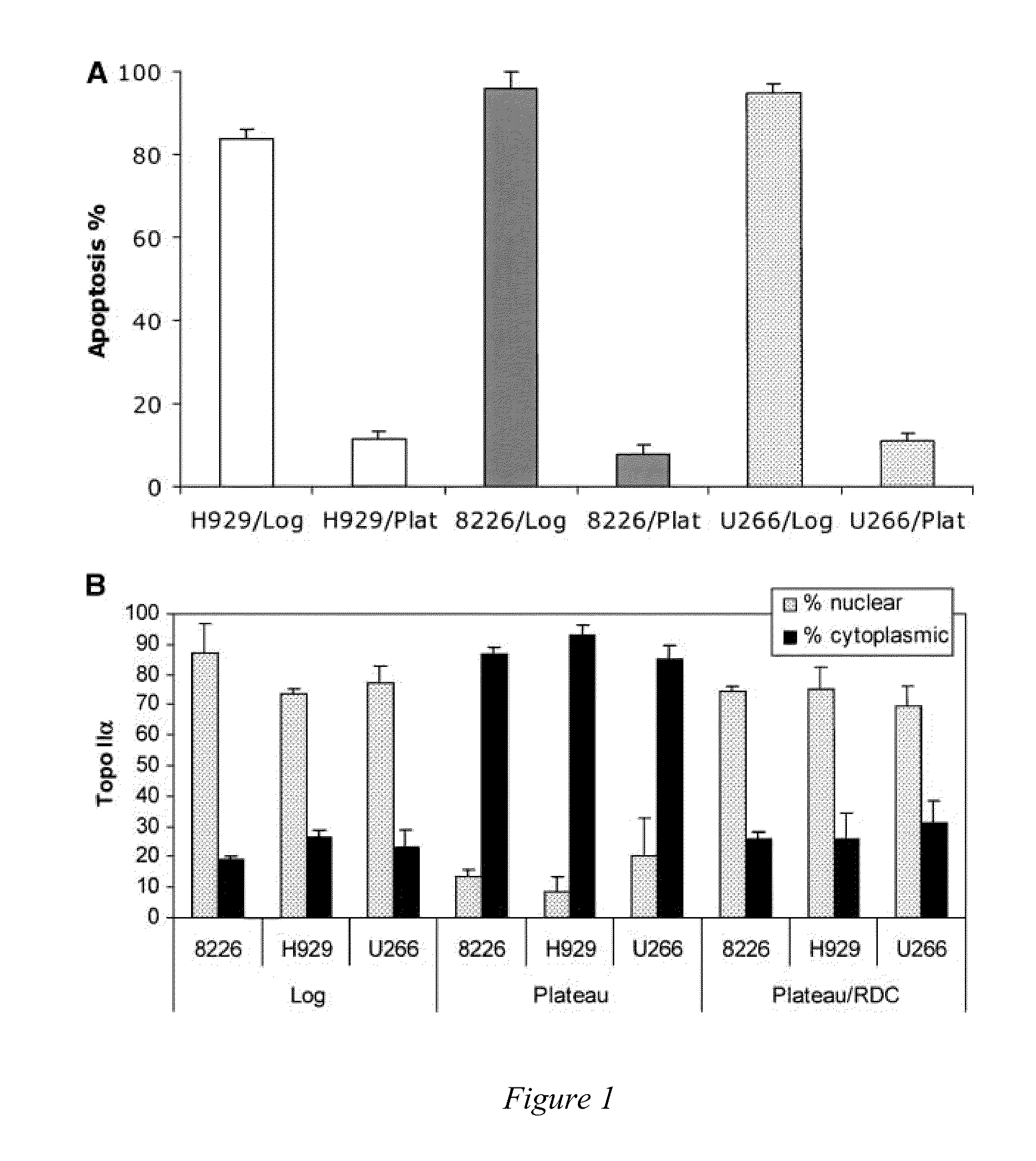 Nuclear export inhibitors of topoisomerase ii alpha