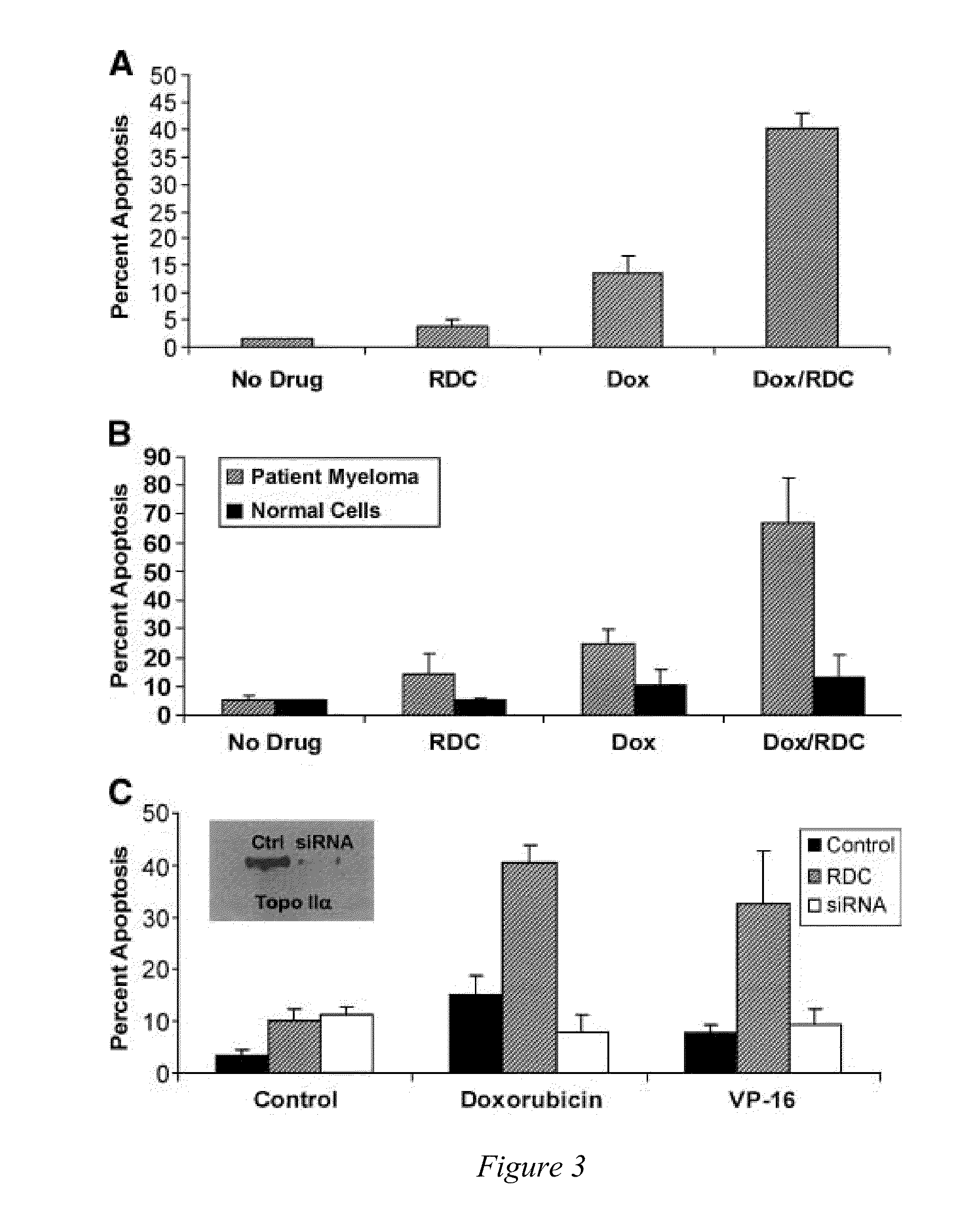 Nuclear export inhibitors of topoisomerase ii alpha