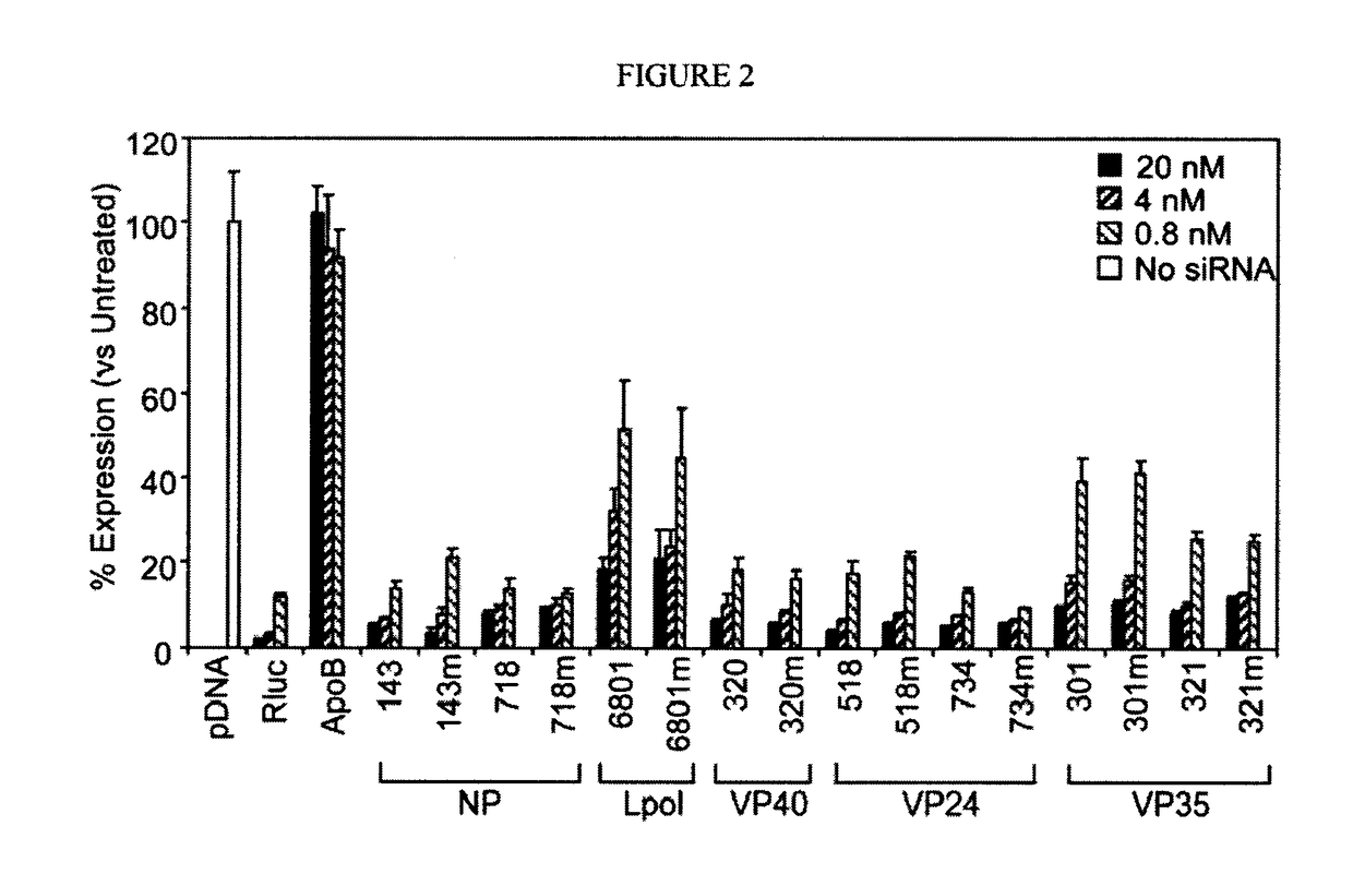 Compositions and methods for silencing marburg virus gene expression