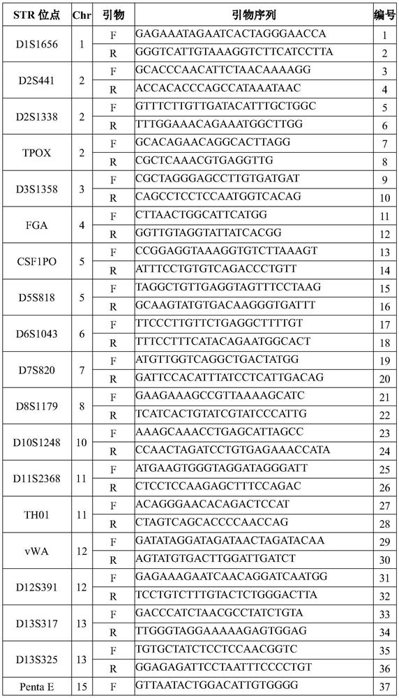 Primer group, kit and method for DNA file library building