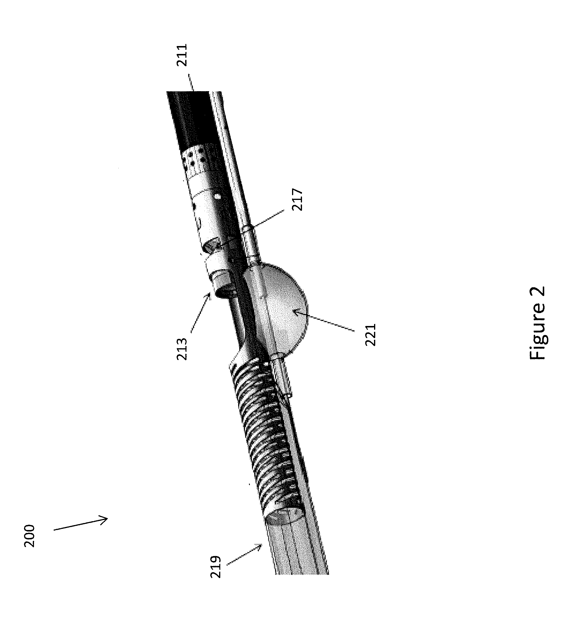 Identification of elastic lamina to guide interventional therapy