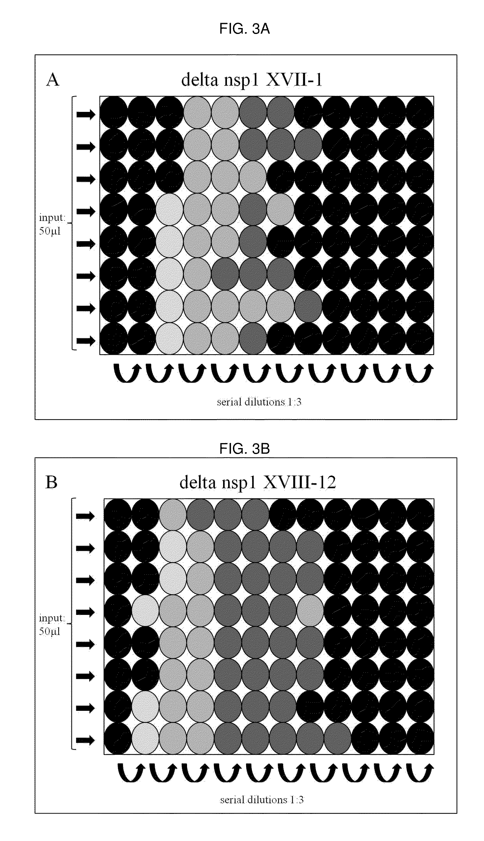 Novel prrs virus inducing type i interferon in susceptible cells