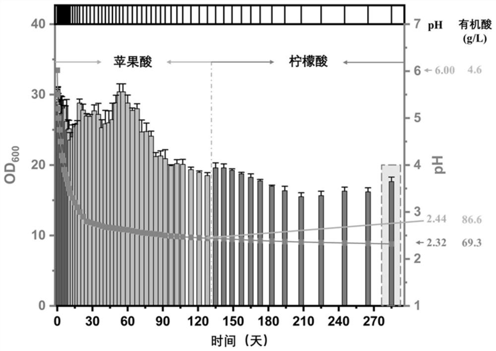 Acid-resistant saccharomyces cerevisiae and application thereof in preparation of organic acid