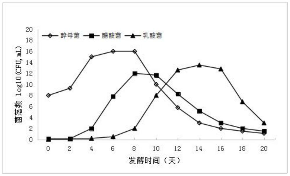 Processing method of stomach-invigorating digestion-promoting potato enzyme beverage