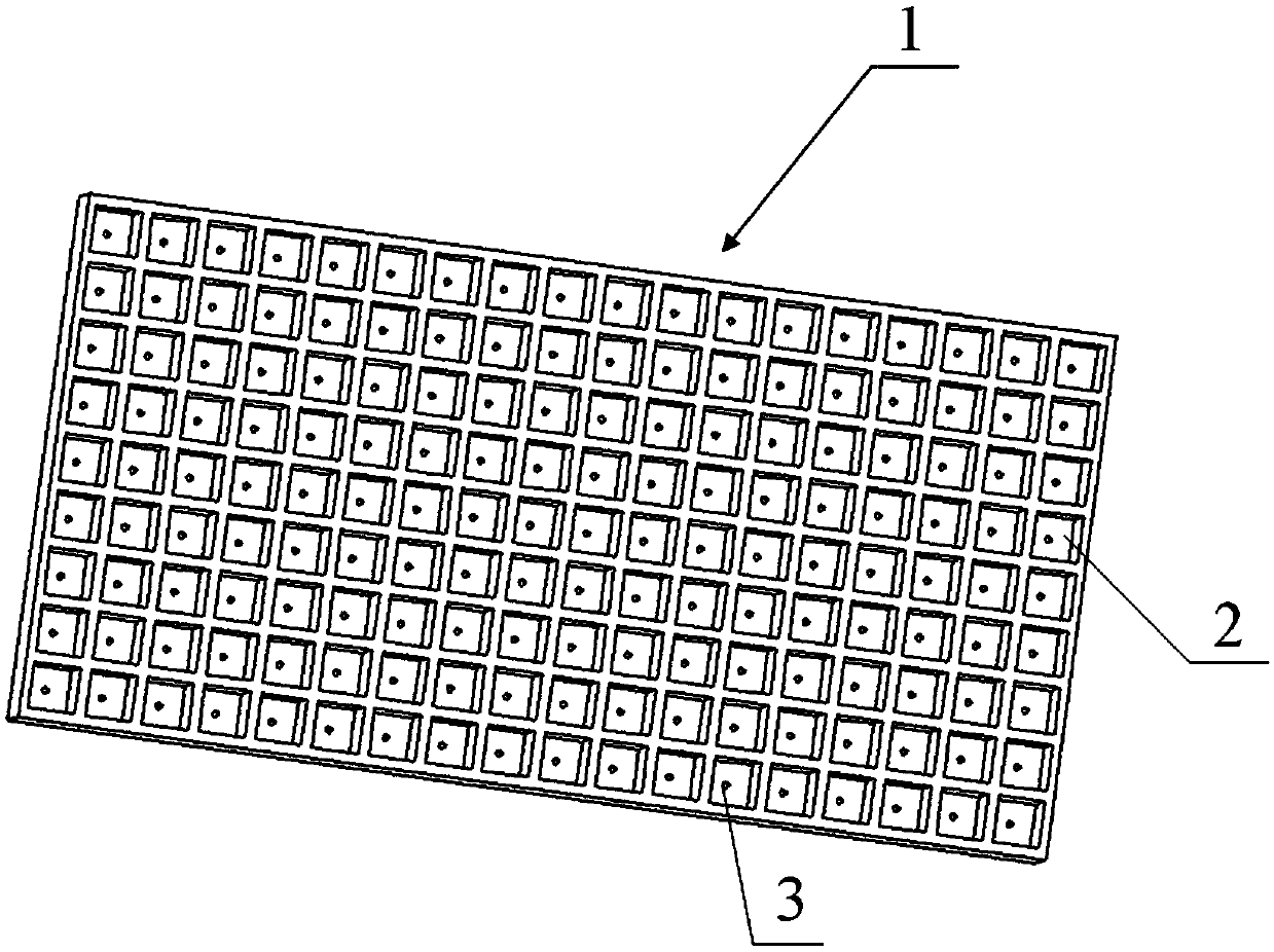 Floating seedling culture method for Salvia miltiorrhiza