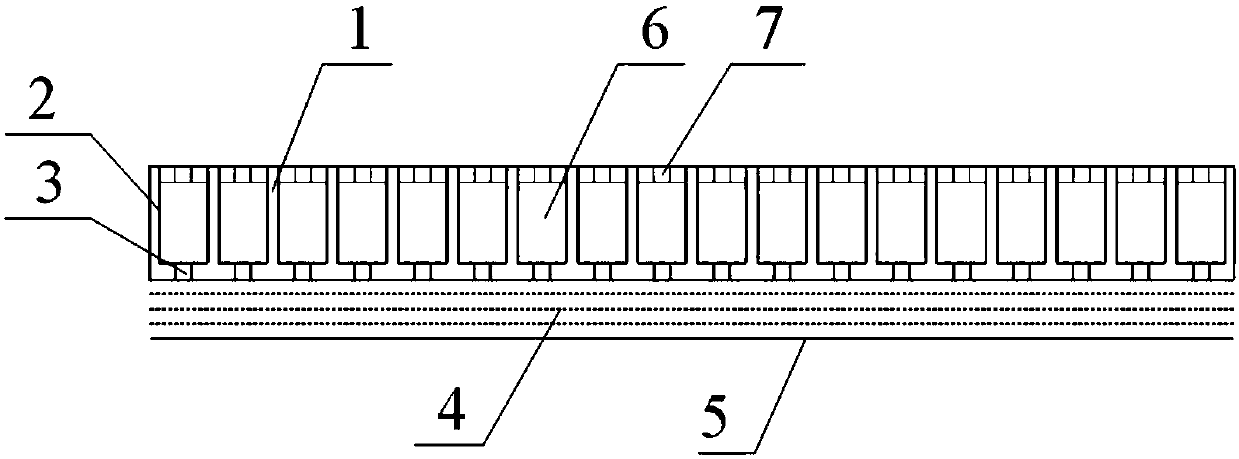 Floating seedling culture method for Salvia miltiorrhiza