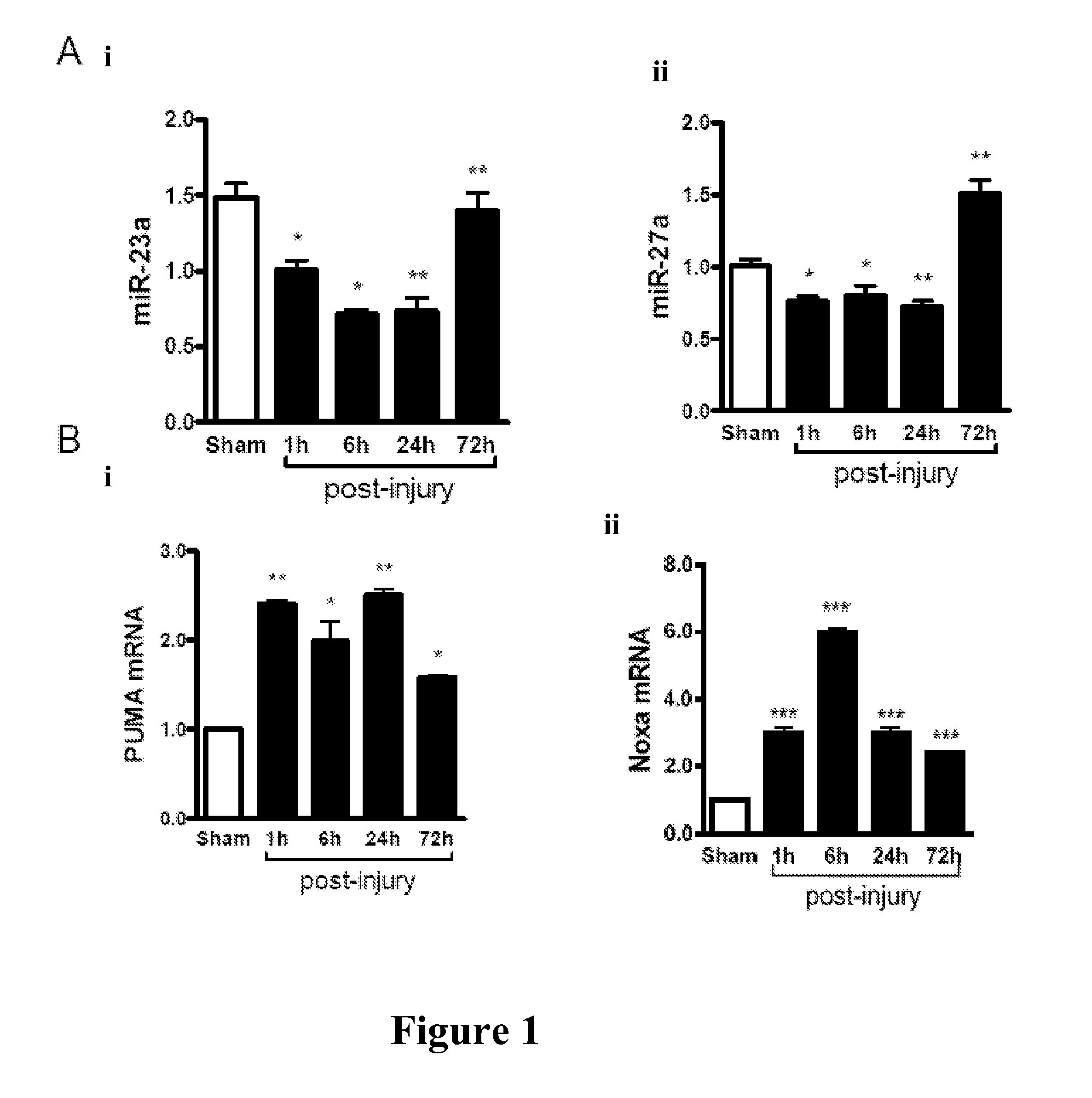 USE OF miR-23a-3p AND/OR miR-27a-3p MIMICS AS THERAPEUTIC AGENTS FOR INHIBITION OF NEURONAL APOPTOSIS FOLLOWING BRAIN INJURY