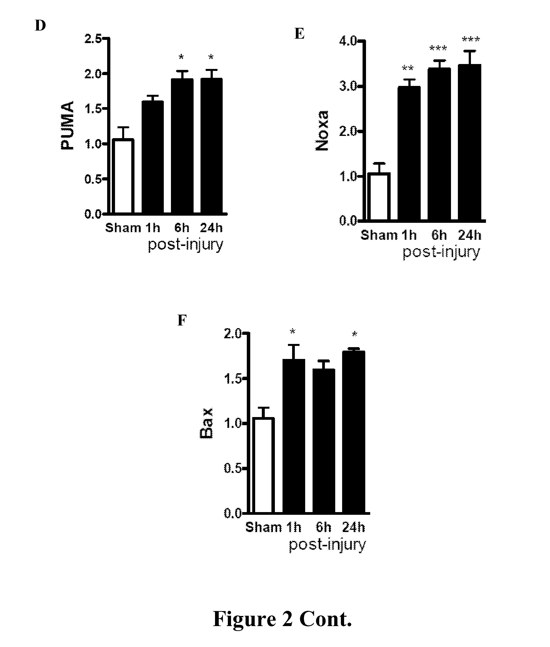 USE OF miR-23a-3p AND/OR miR-27a-3p MIMICS AS THERAPEUTIC AGENTS FOR INHIBITION OF NEURONAL APOPTOSIS FOLLOWING BRAIN INJURY