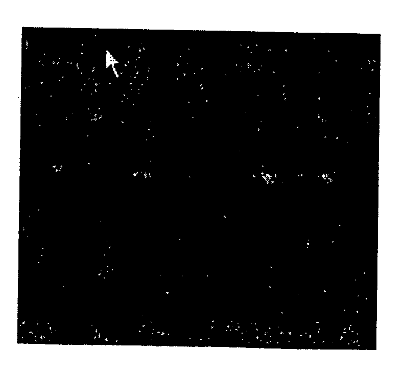 Method for forming polycrystalline silicon film