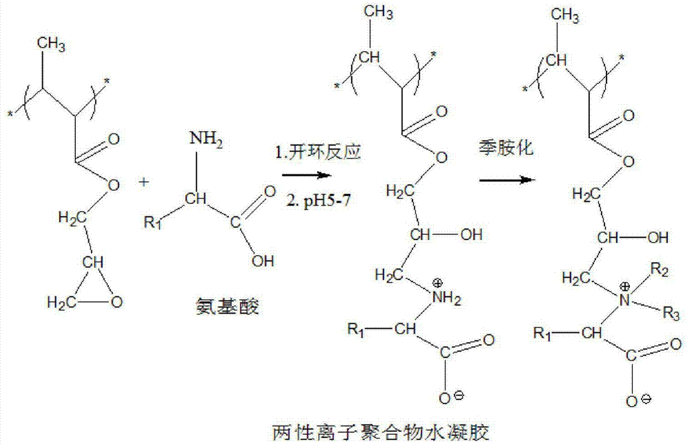 Amino acid zwitter ion hydrogel material and preparation method thereof