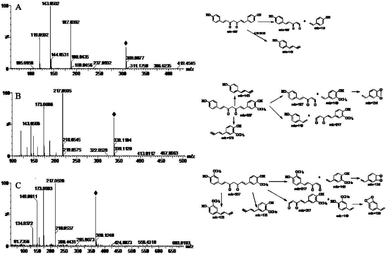 Method for extracting and enriching radix curcumae longae