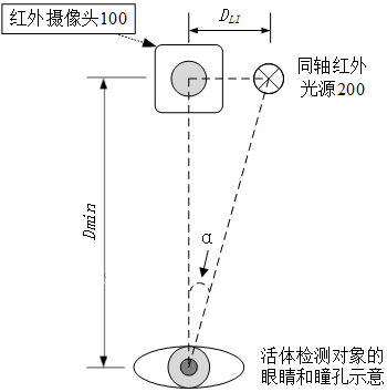 Living body detection device and method