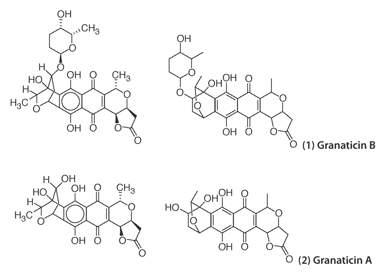 Polymorph of granaticin b