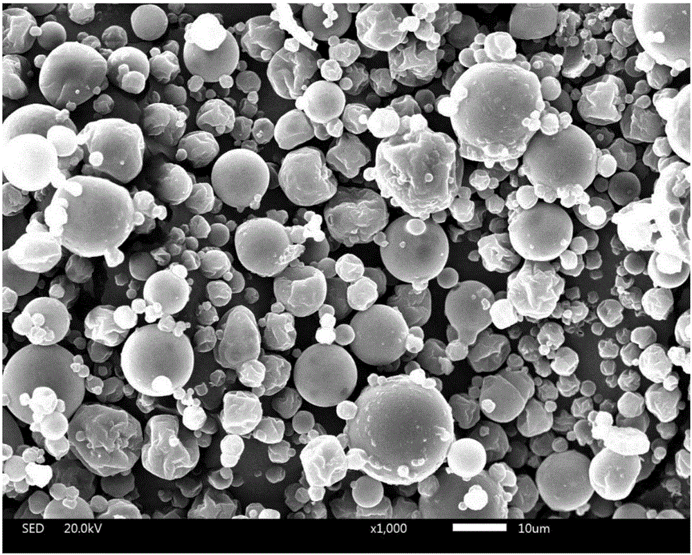 Ganoderma spore oil microcapsule powder and preparing method and application thereof