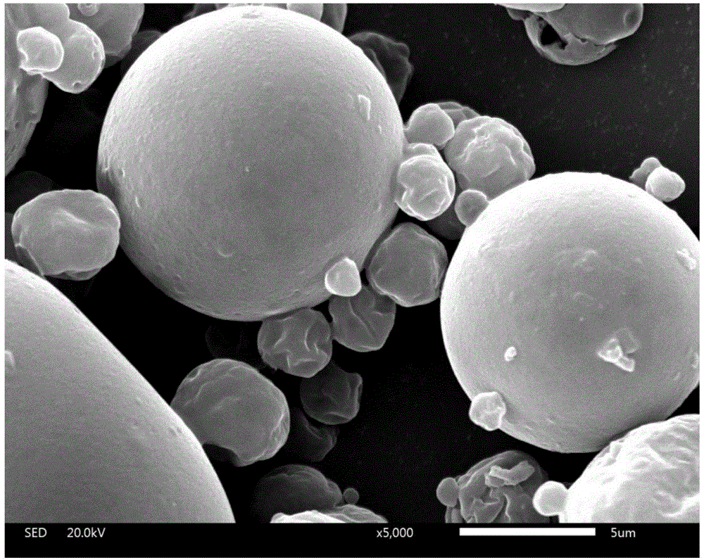 Ganoderma spore oil microcapsule powder and preparing method and application thereof