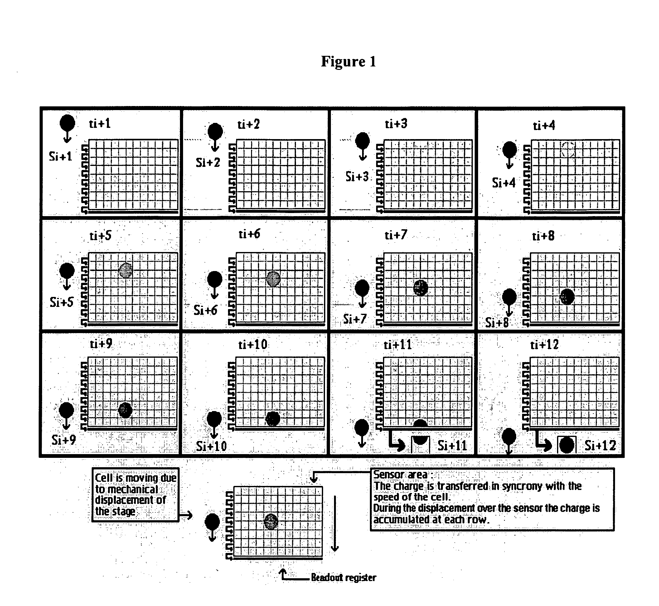 Devices and methods to image objects by time delay integration