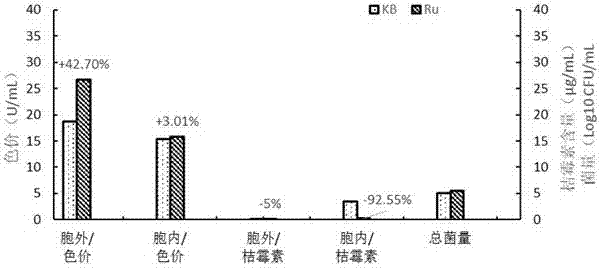 Method for producing citrinin at low yield by liquid state fermentation of monascus through exogenous addition of antioxidant