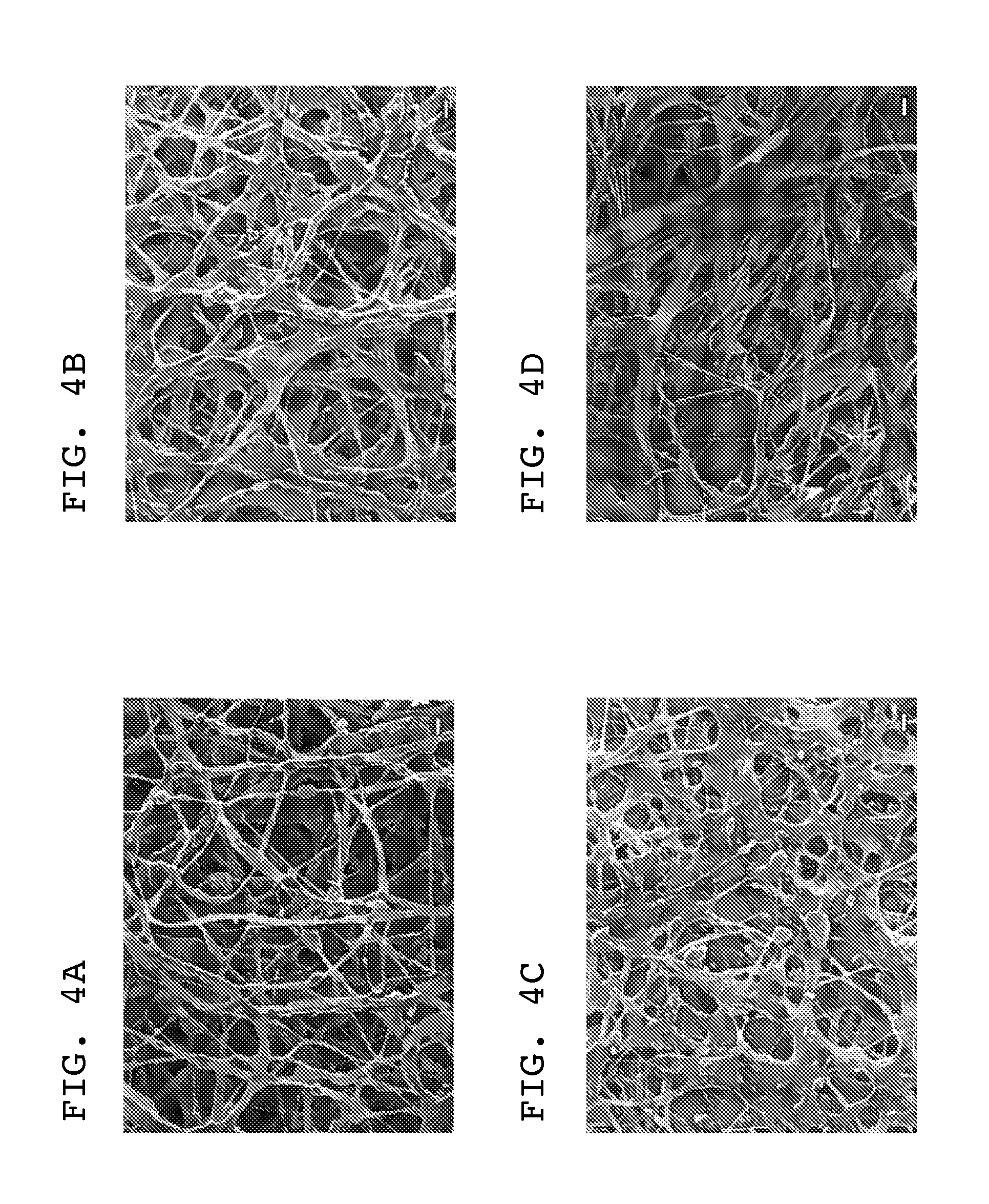 Sheathed nanotube fiber and method of forming same