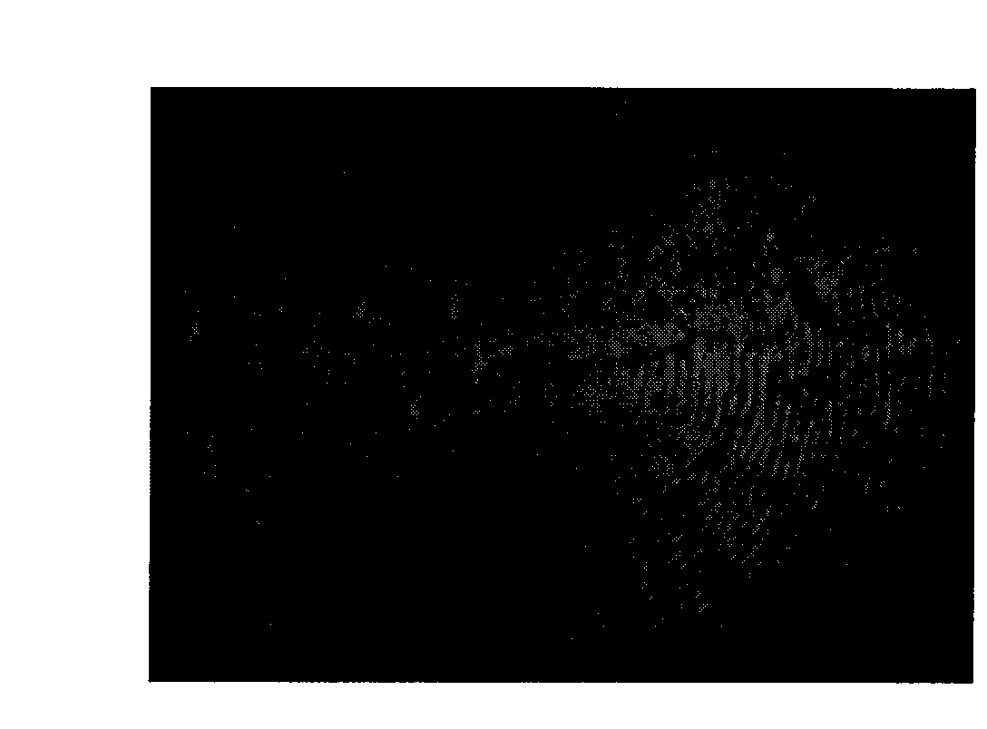 Method for using fluorescent silicon dioxide to display laten fingerprint