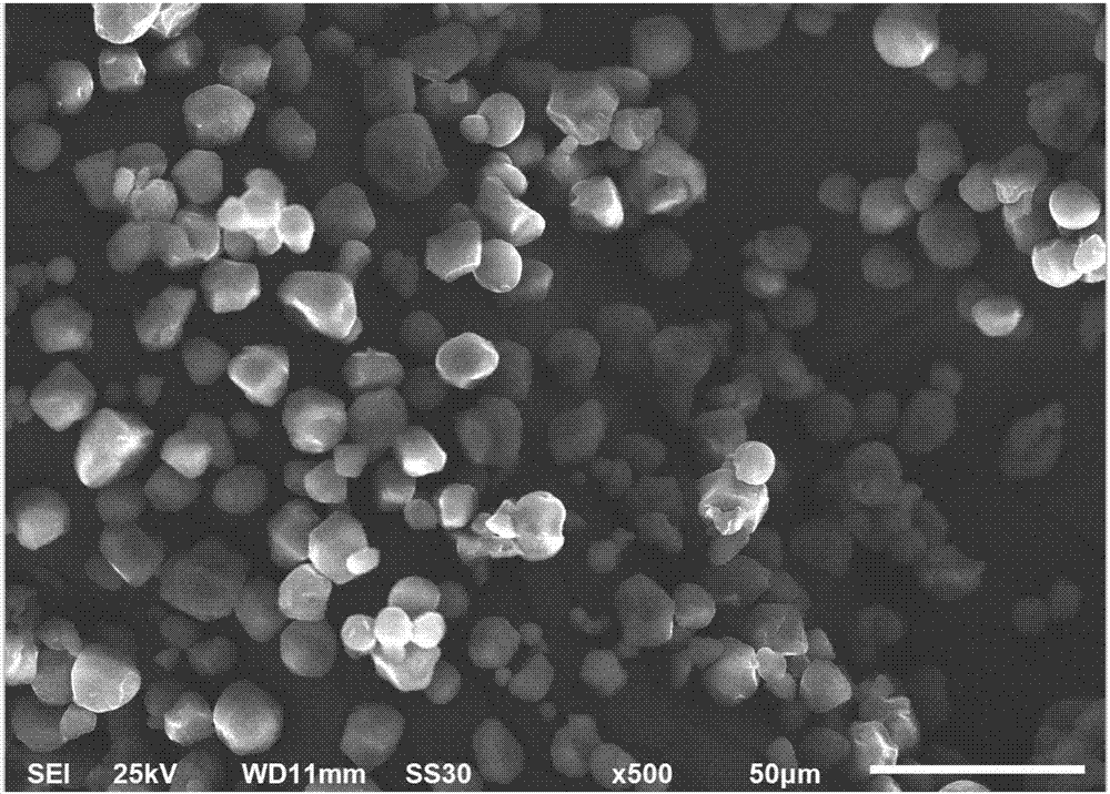 N-trimethyl chitosan microsphere, and preparation method and application thereof in reducing dielectric loss of mineral oil