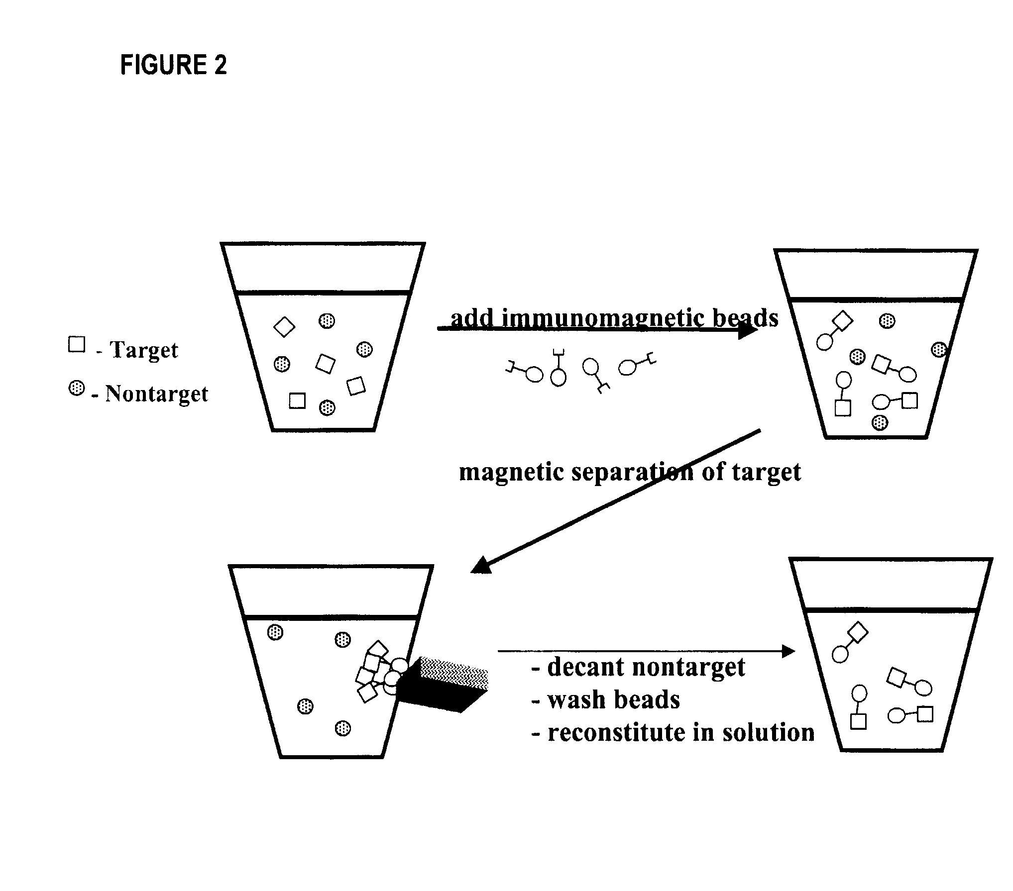 Method for Detecting Low Concentrations of a Target Bacterium That Uses Phages to Infect Target Bacterial Cells