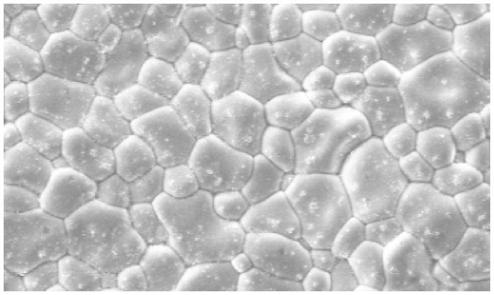 Nanocrystalline A4B2O9 type tantalate ceramic prepared through ultralow-temperature sintering and method thereof