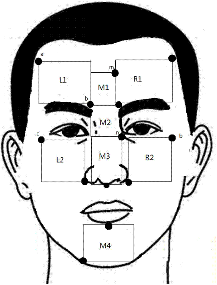 Quantification skin detecting method based on face image recognition