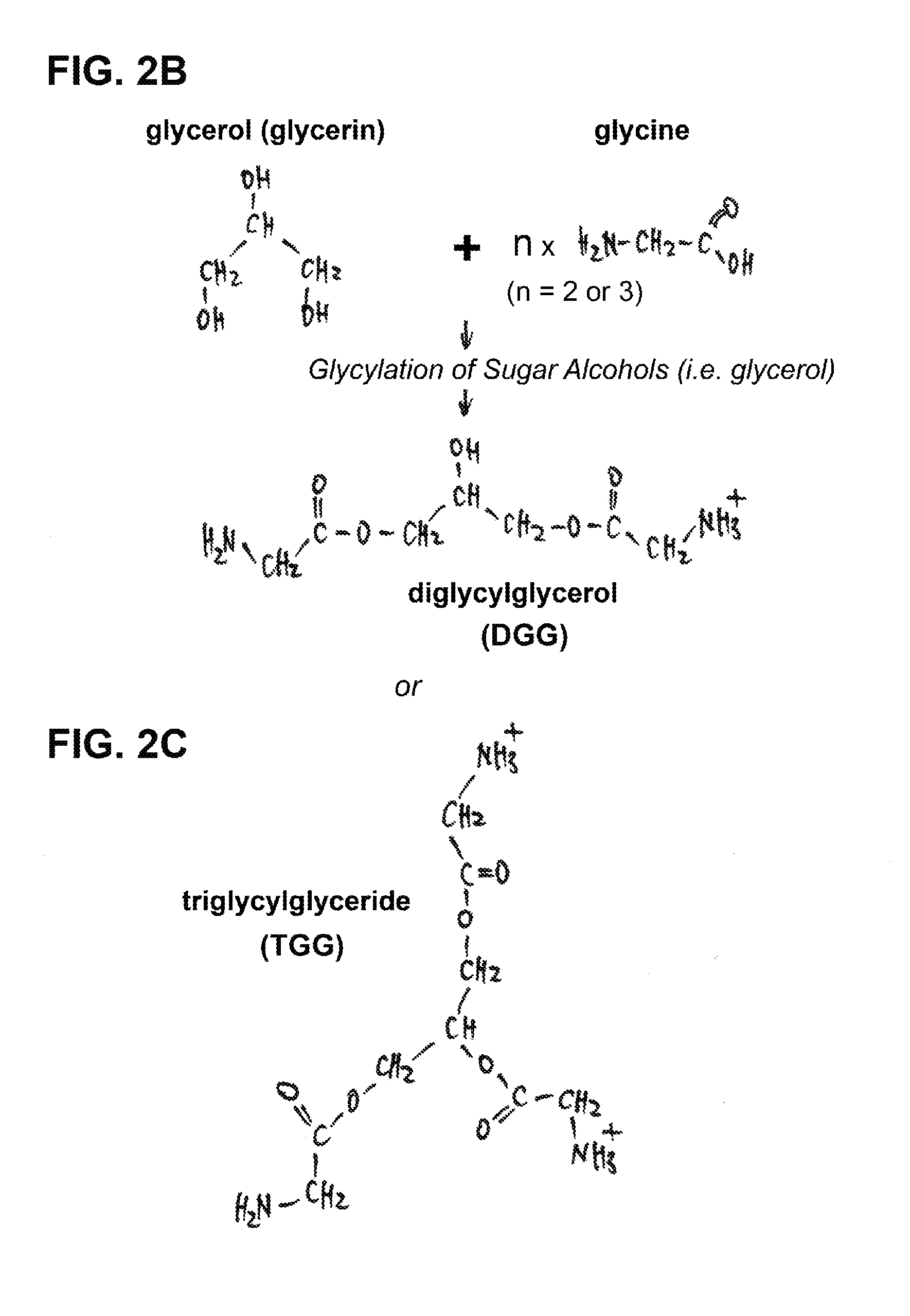 Use of novel monosaccharide-like glycylated sugar alcohol compositions for designing and developing Anti-diabetic drugs