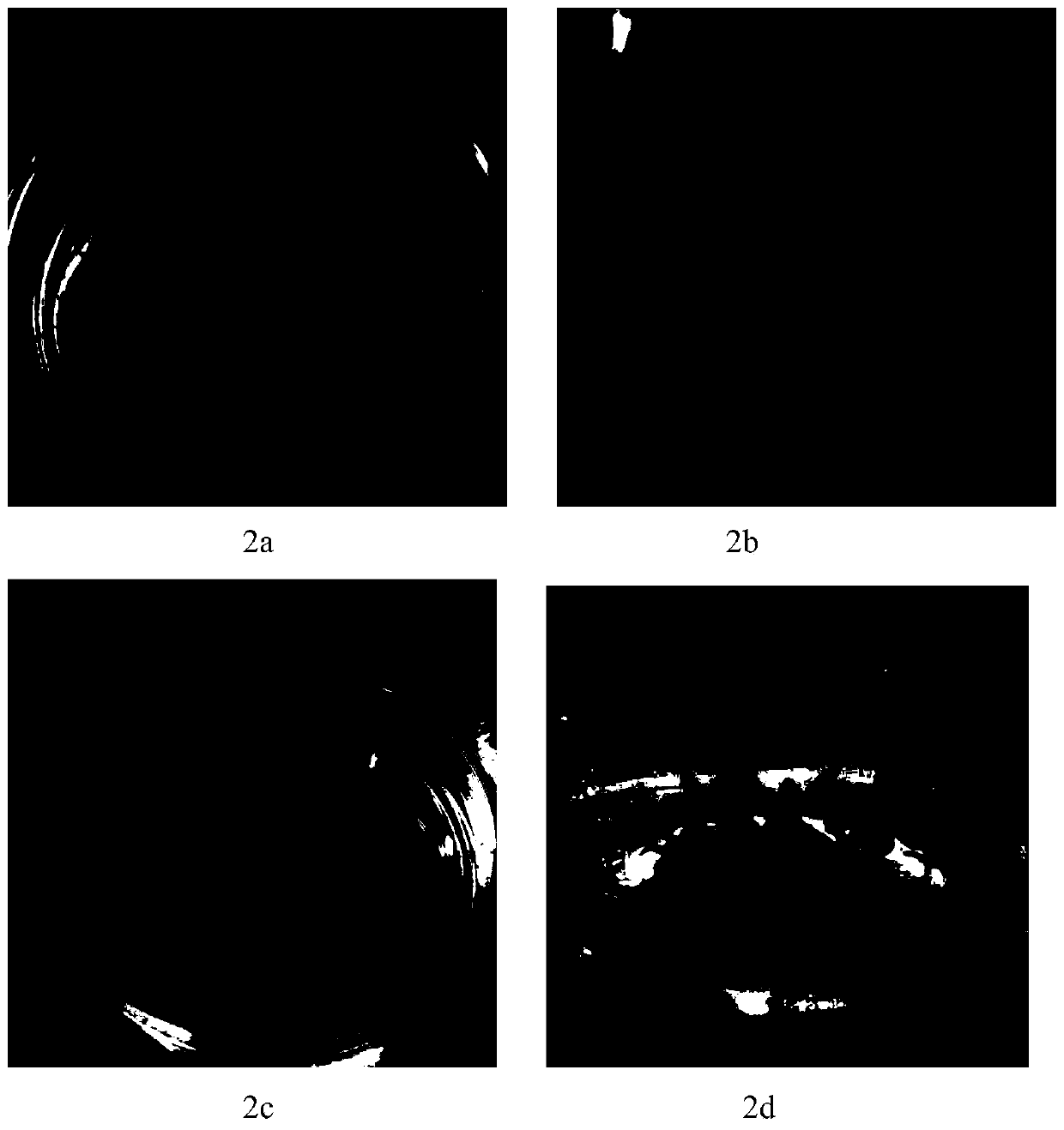 A tissue culture method for inducing differentiated adventitious buds by using Anthurium leaf veins