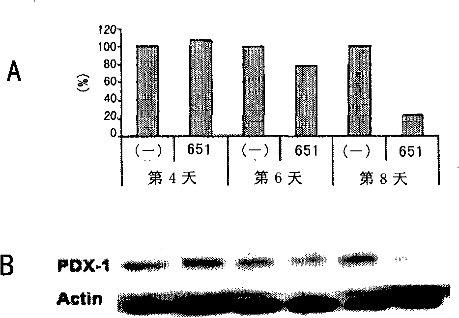 Antineoplastic ad virus preparation