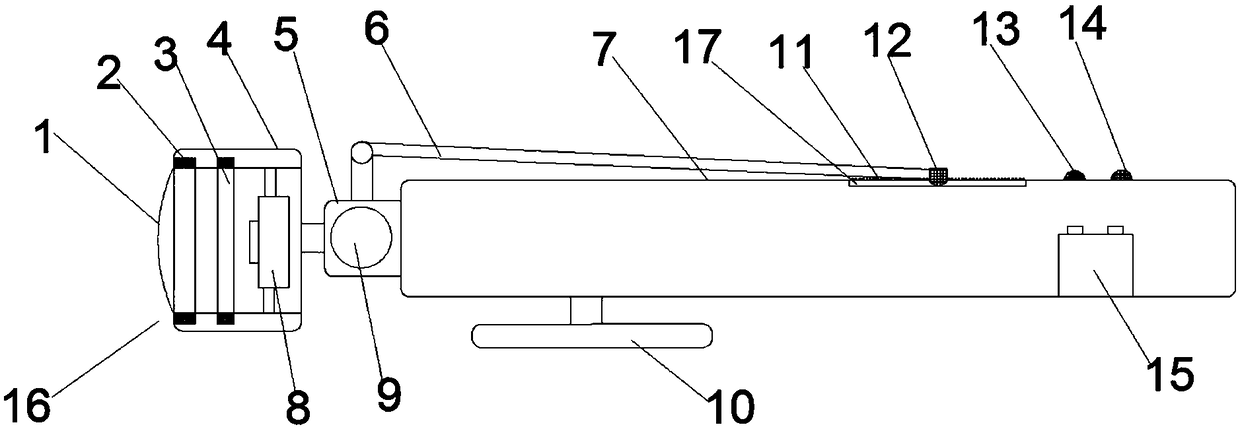 Oral endoscope