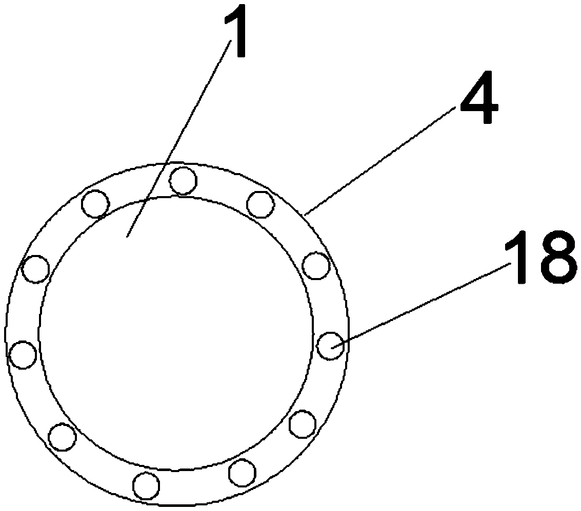 Oral endoscope