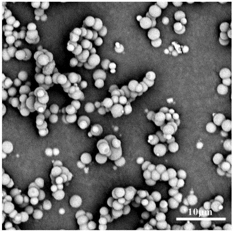 CaCO3-(PLO/Fucoidan)&lt;4&gt; self-assembly carriers and preparation method