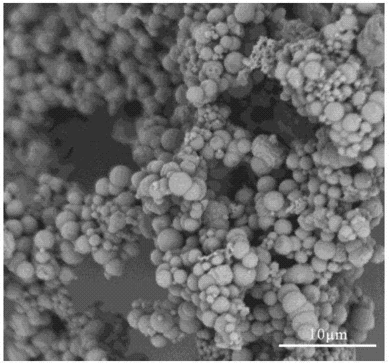 CaCO3-(PLO/Fucoidan)&lt;4&gt; self-assembly carriers and preparation method