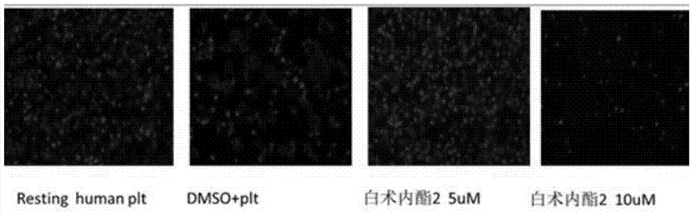 Application of atractylenolide-II derivative in preparation of platelet aggregation resisting drug and platelet aggregation resisting drug