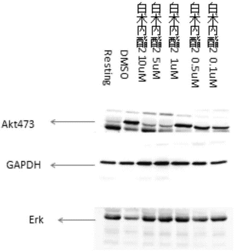 Application of atractylenolide-II derivative in preparation of platelet aggregation resisting drug and platelet aggregation resisting drug