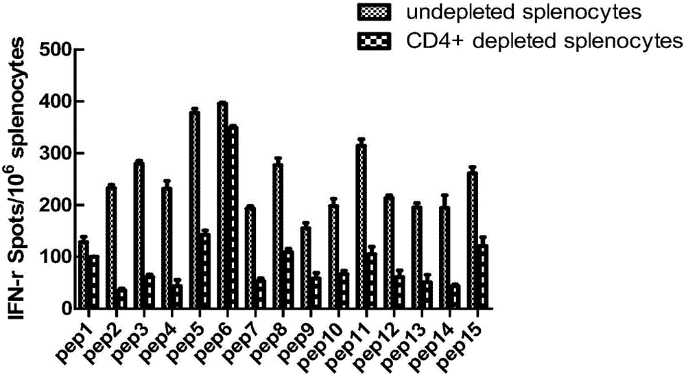 CTL epitope peptide on HTNV GP as well as screening method and application thereof