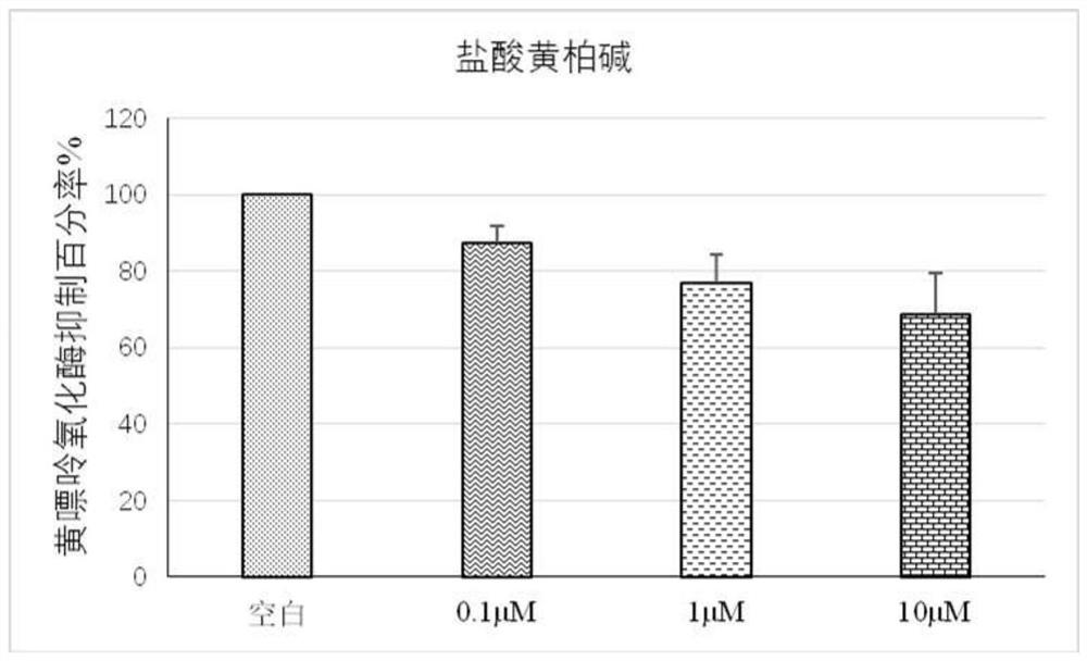 Application of phellodendrine and salt thereof in preparation of medicines for treating hyperuricemia