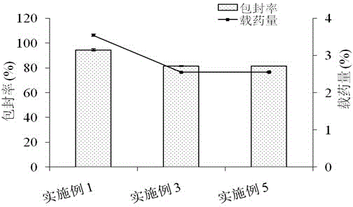 Docetaxel solid lipid nanoparticle lyophilized preparation and preparation method