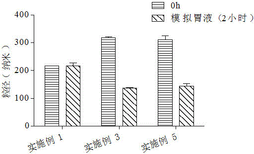 Docetaxel solid lipid nanoparticle lyophilized preparation and preparation method