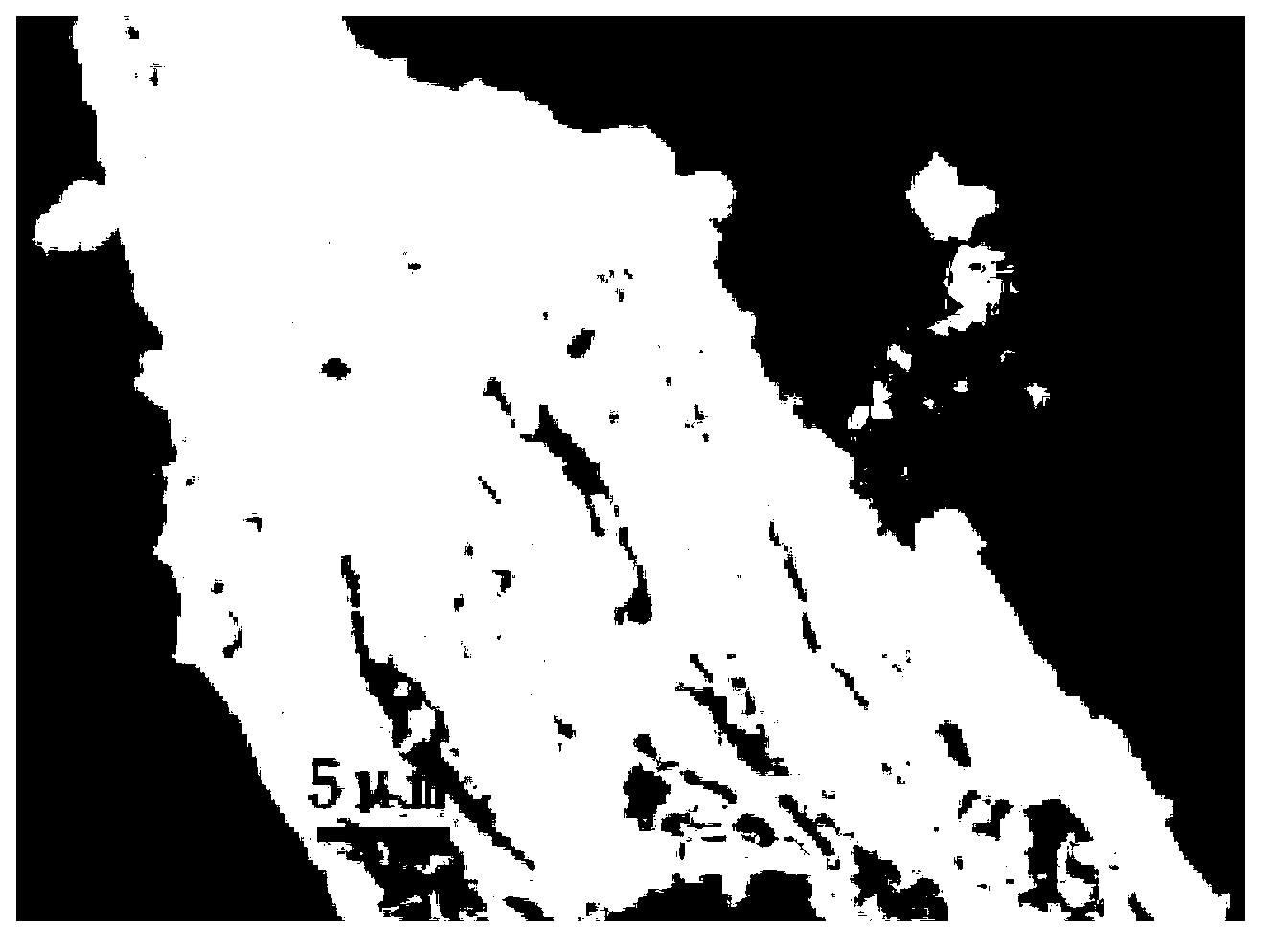 Bismuth vanadate-graphene composite photocatalyst, and preparation and application thereof