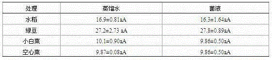 A kind of cadmium-tolerant bacteria and method for inhibiting rice to absorb heavy metal cadmium