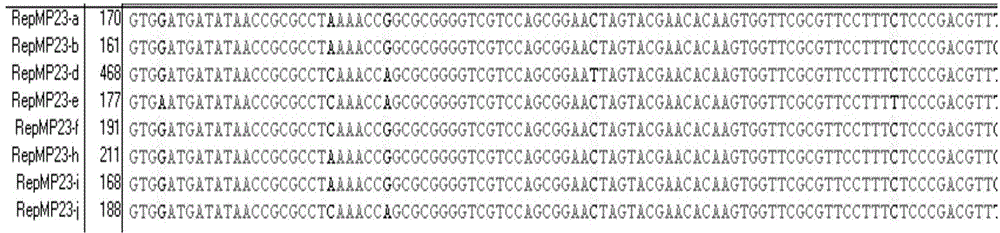 Target sequence for detecting mycoplasma pneumoniae and detection kit