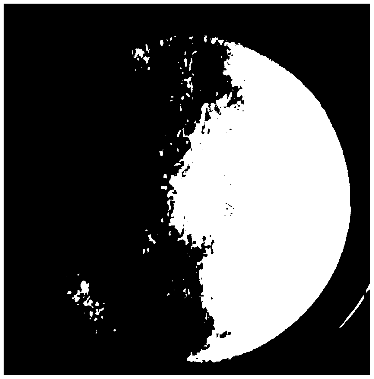 Preparation method of salidroside-collagen sponge scaffold and application thereof in skin wound healing