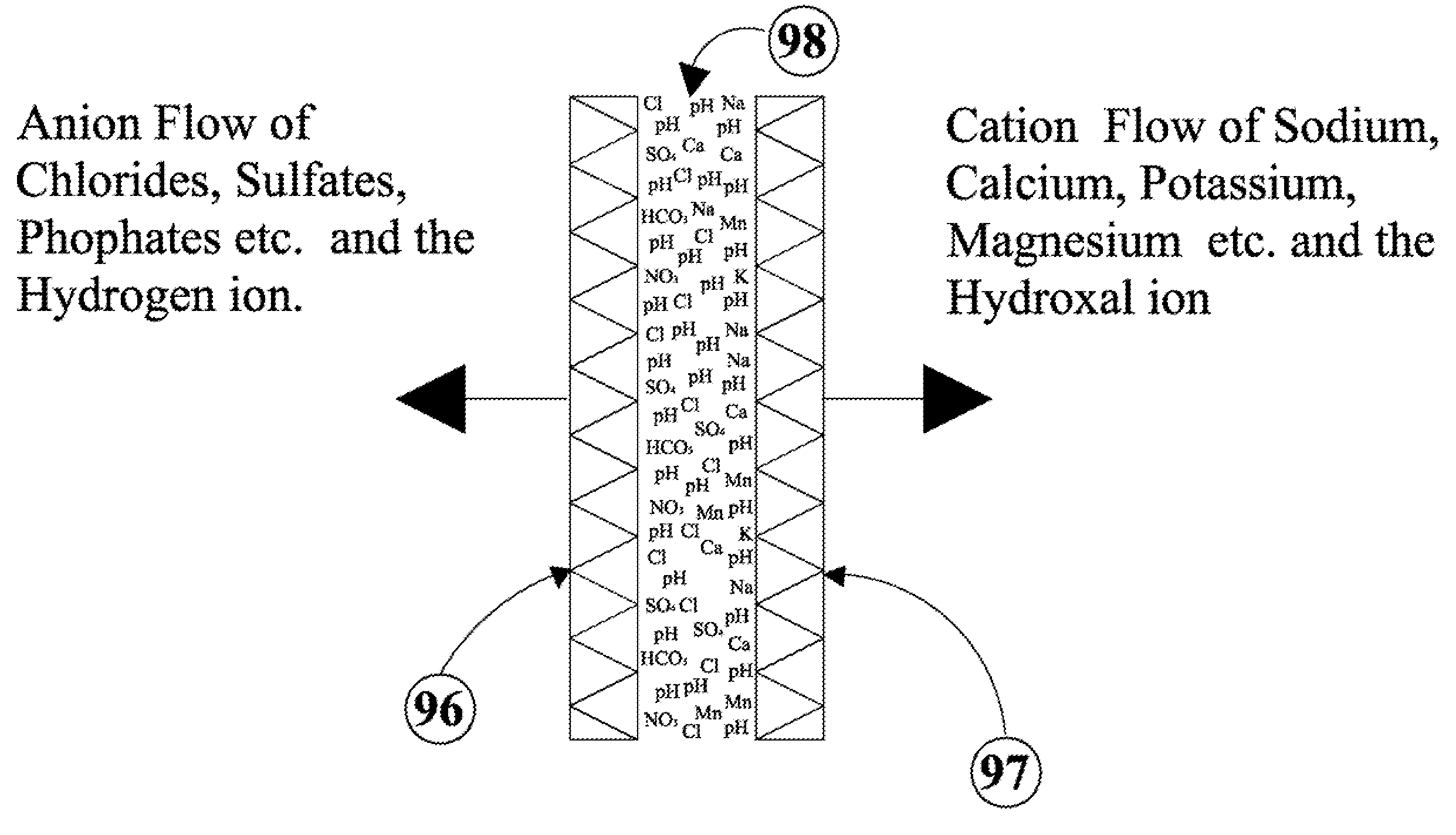 In vitro prophylactic on site ion-exchange purification process.