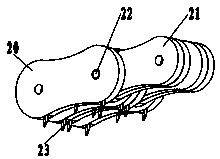 Nut peeling machine