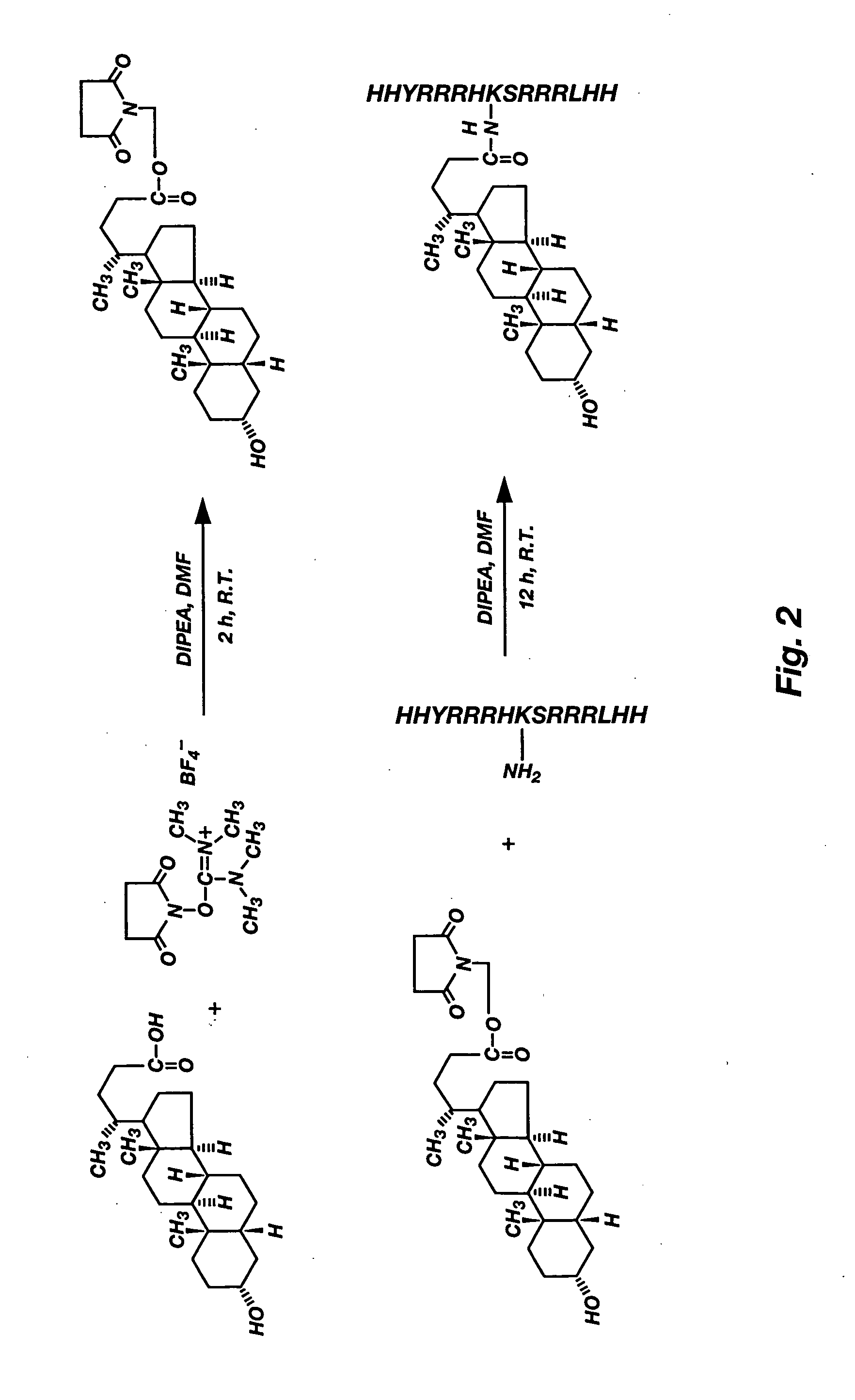 Soluble steroidal peptides for nucleic acid delivery