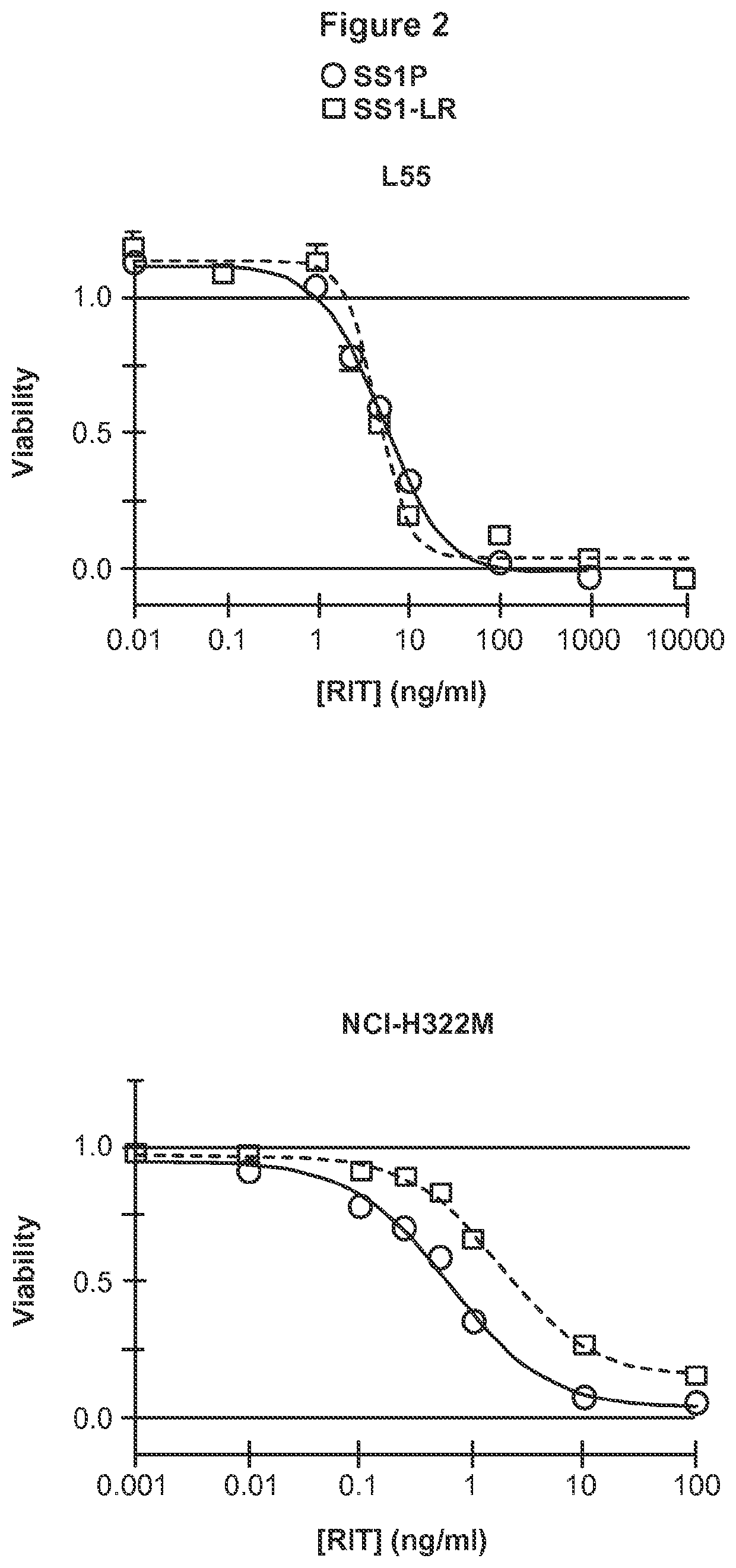 Recombinant immunotoxin targeting mesothelin