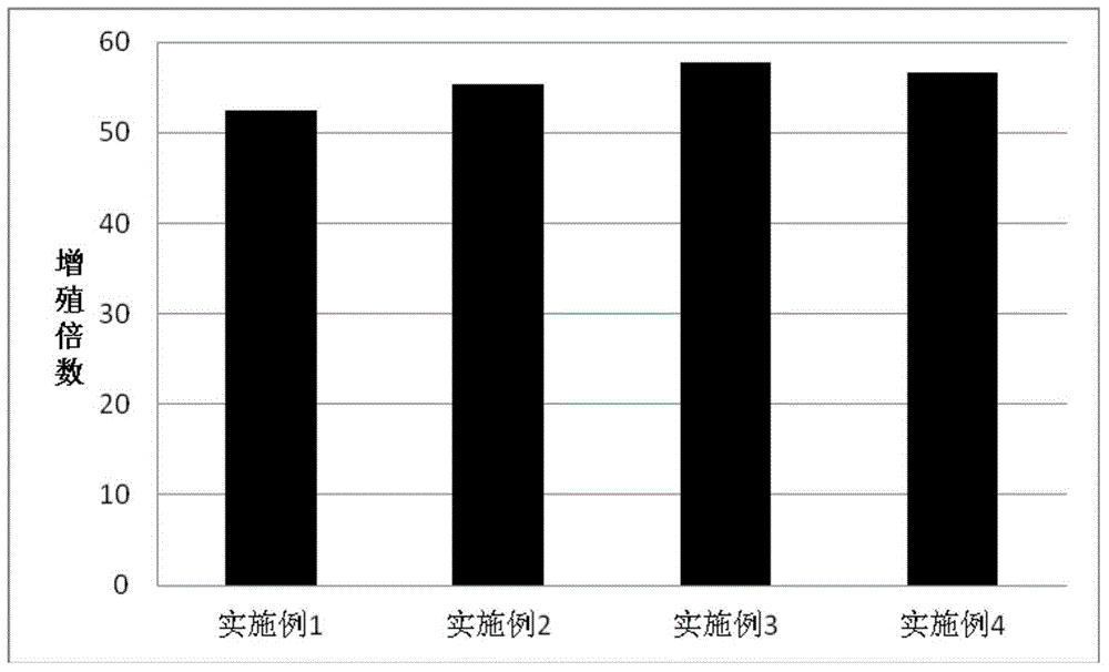 Serum-free medium and preparation method thereof