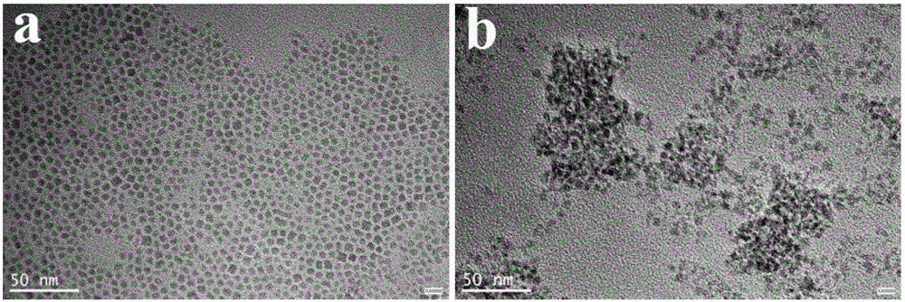 Copper telluret nanometer compound medicine granules for thermal chemotherapy and method for constructing copper telluret nanometer compound medicine granules